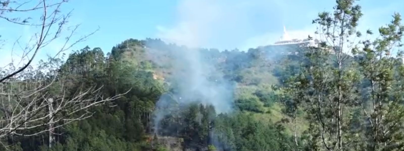 Fire Re-erupts At Daragalapathana Reserve